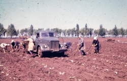 Workers on a collective farm in the Donetsk region of Soviet Ukraine