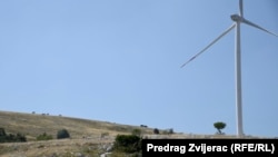 Wild horses graze on Ivovik Hill near wind turbines.