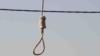 Her execution comes as concern grows over the numbers of people this year executed by Iran, where hundreds of people have been hanged mainly on drug and murder charges, including more than a dozen women.