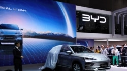 Терактдан кейинги босим, BYD монополияси, қўриқланадиган мозаик паннолар