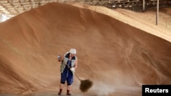 An woman sweeps up grain in a warehouse in the village of Konstantinovo, near the southern Russian city of Stavropol. (filenphoto)