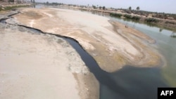 The Euphrates River near Karbala in mid-May