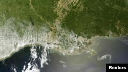 An oil slick (outlined in white) is pictured off the Louisiana coast in a satellite image taken on April 29.