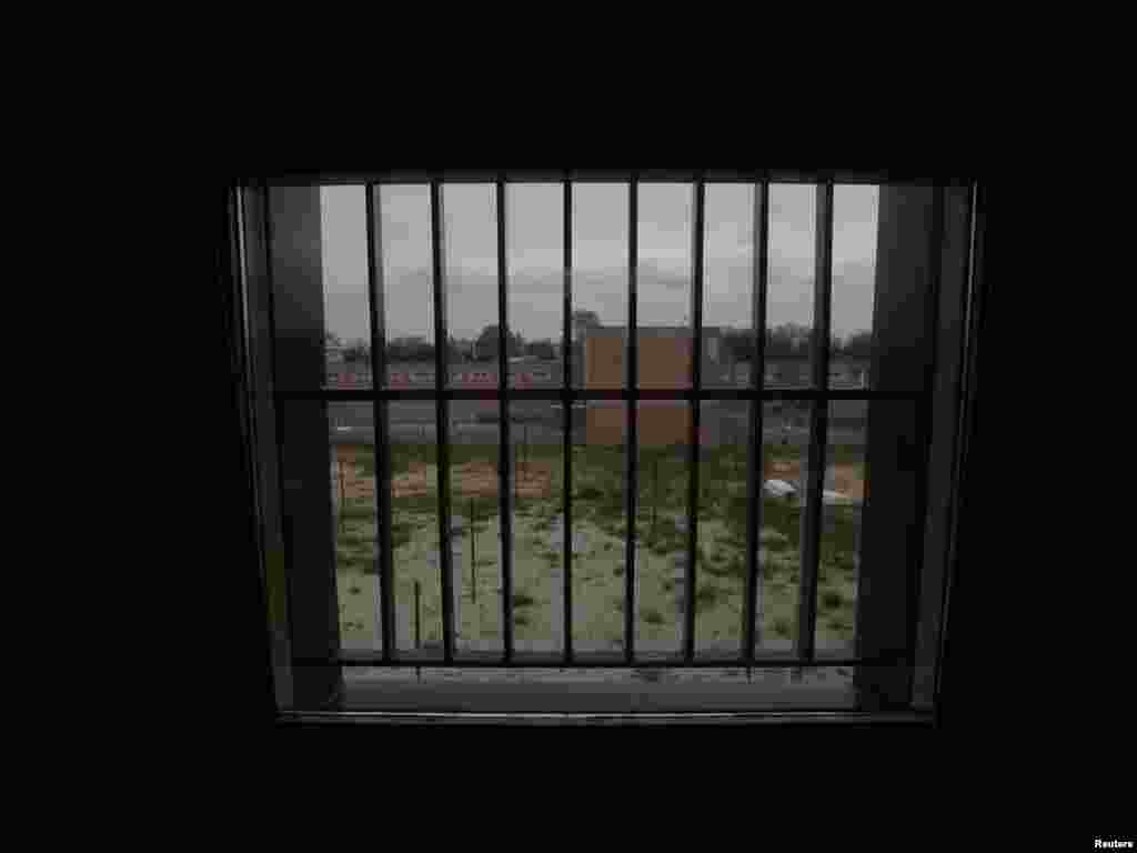 The view from inside a cell