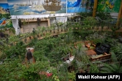 A member of the Taliban visits the greenhouse yard of the home of Afghan warlord Abdul Rashid Dostum in the Shirpur neighborhood of Kabul on September 11, 2021.