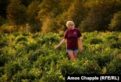 Miina Saak, a former office worker from Estonia who is now a full-time tea farmer, on a plantation near Kutaisi.