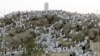 Pilgrims Gather On Mount Arafat