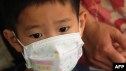 A boy wears a face mask against swine flu as he arrives at Los Angeles International Airport.