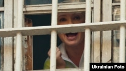 The Ukrainian opposition have denounced the legislation used to jail former Prime Minister Yulia Tymoshenko. 