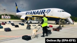 Security with a sniffer dog check the luggage of passengers in front of the Ryanair flight carrying journalist Raman Pratasevich in Minsk on May 23.