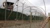 U.S. Court Bans Guantanamo Tribunals