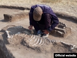 A skeleton of a horse is unearthed next to a twin grave for humans, dating back to around 1300 B.C., in Qaraghandy.