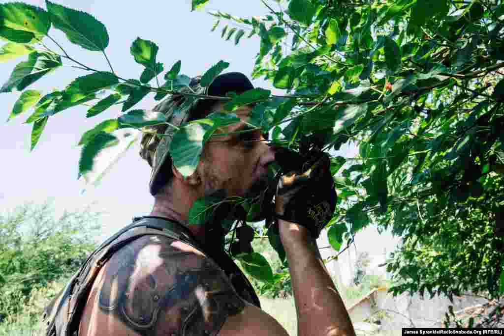 A soldier picks fruit off a tree while carrying supplies back to his unit&rsquo;s house.