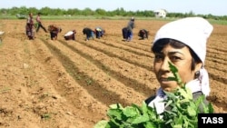 Tajik migrant workers in Russia (file photo)