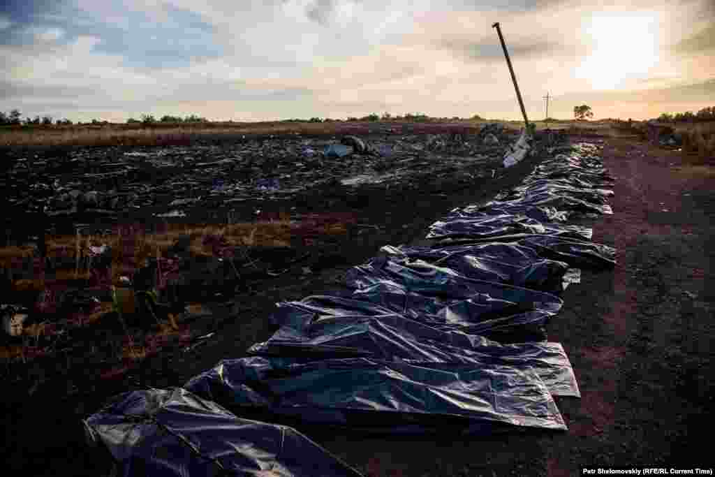 Body bags are lined up near the crash site on July 20, 2014.