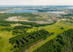 The historic forest on the outskirts of Tyukalinsk, a town near the border with Kazakhstan.