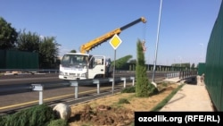 The streets in the residence's neighborhood have been lined with new fir trees