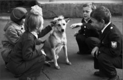 Schoolchildren playing with a dog