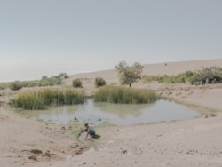 The same pond photographed by Maximilian Mann. This image was published on Mann's website but was not included in his World Press Photo award entry.