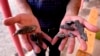 A man shows artillery shell fragments in the village of Agdam in the Tovuz district near the Azerbaijani-Armenian border in July.