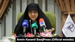 Minou Aslani, head of the Women's Basij organization in Iran, has condemned efforts to increase the number of women in parliament and opposed campaigns to curb domestic violence as perceived assaults on Iranian society and traditional family values.