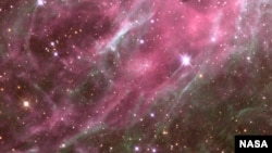 Stars in the Tarantula Nebula