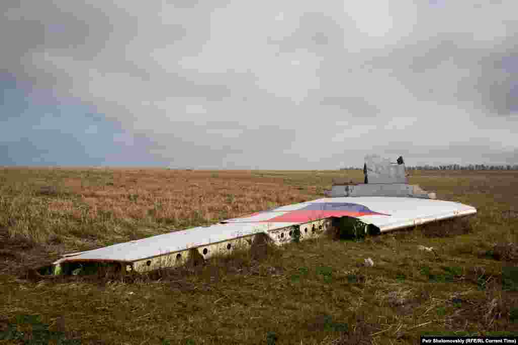 A section of the Malaysian Airlines passenger plane