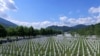 The memorial center for the victims of the 1995 Srebrenica massacre in Potocari, Bosnia and Herzegovina. 