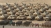 Russian, Kazakh, and Belarusian service members line up during military drills carried out by the Russia-led Collective Security Treaty Organization at the Harb-Maidon training ground near the Tajik-Afghan border in October.