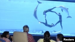 Fidel Castro (second from left) and journalist Jeffrey Goldberg (right) watch a dolphin performance at Havana's National Aquarium on August 29.